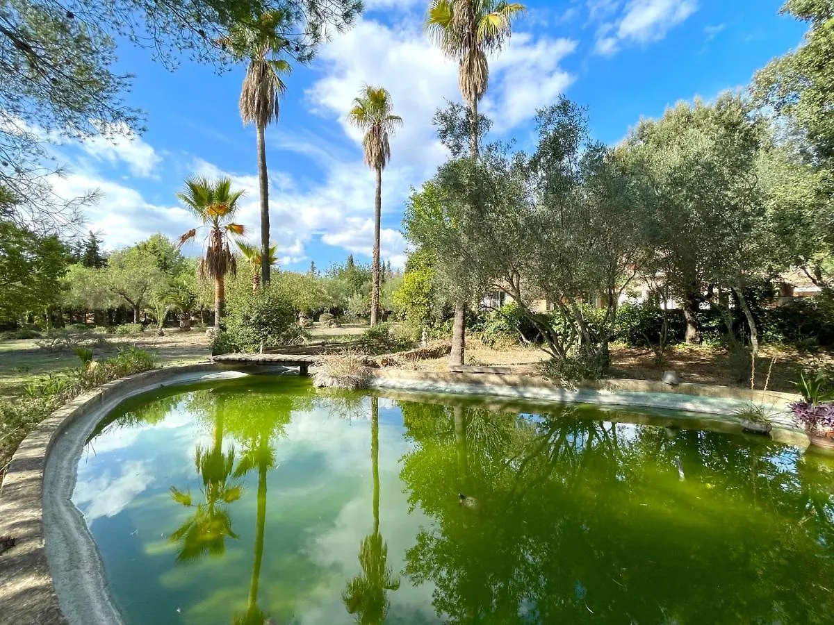 Holiday home Confortable Chalet Con Piscina Bunyola Spain